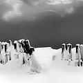 The Last Stand